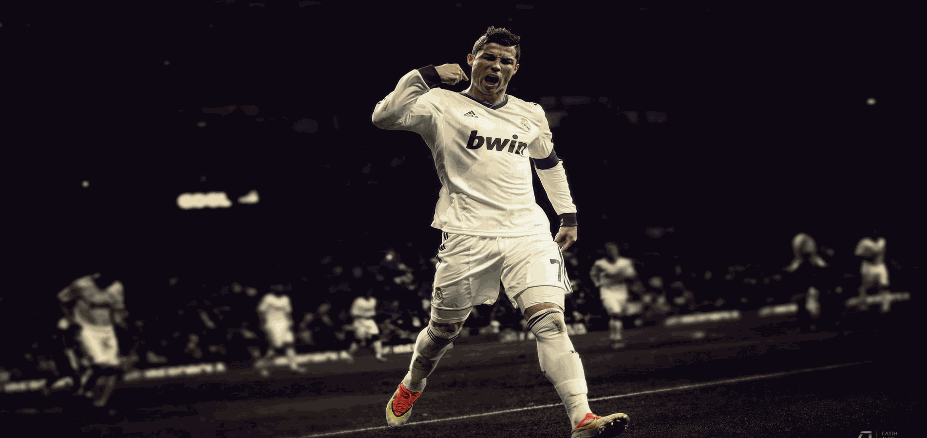 banner3